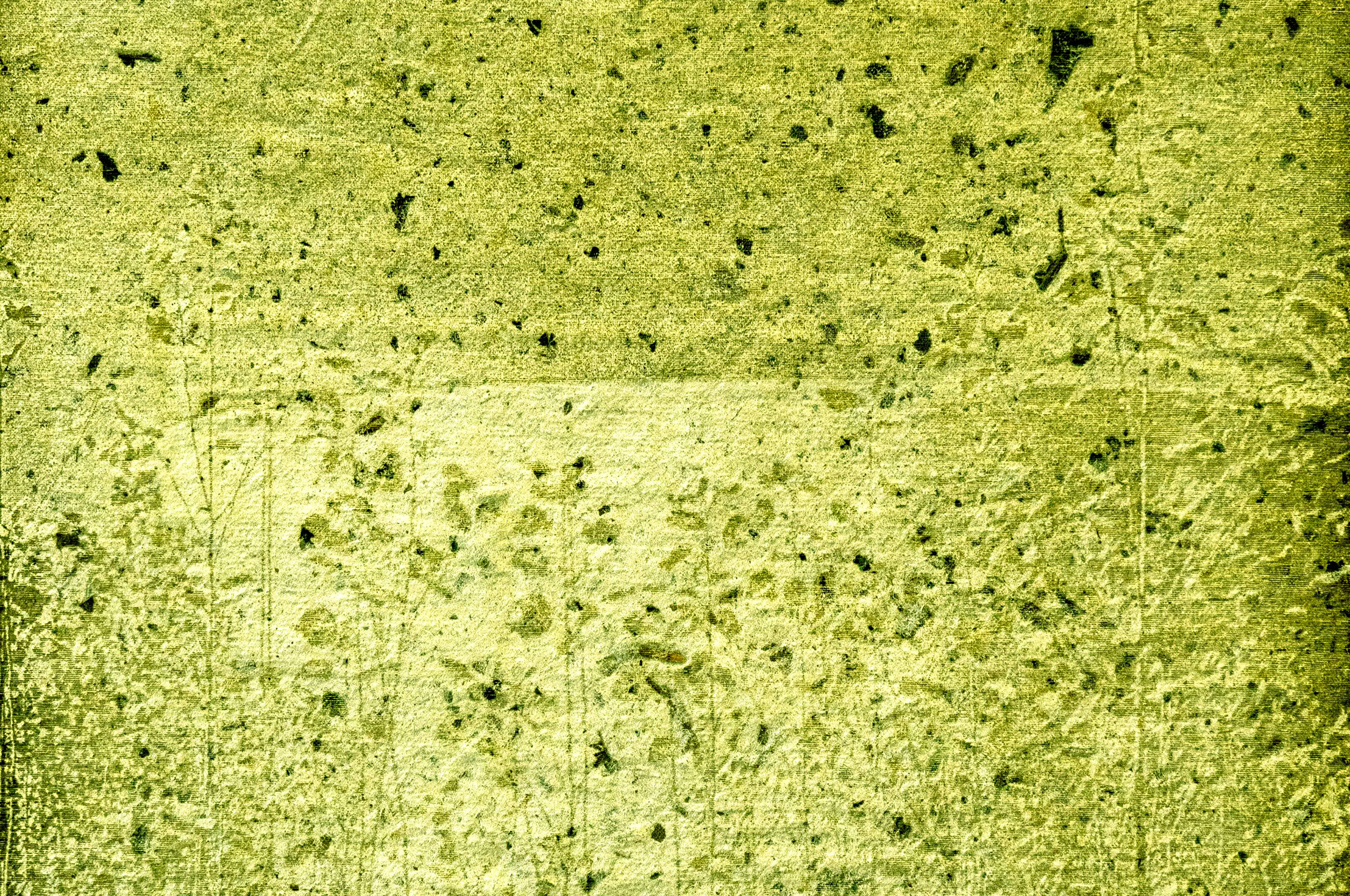 Phytorésiliences