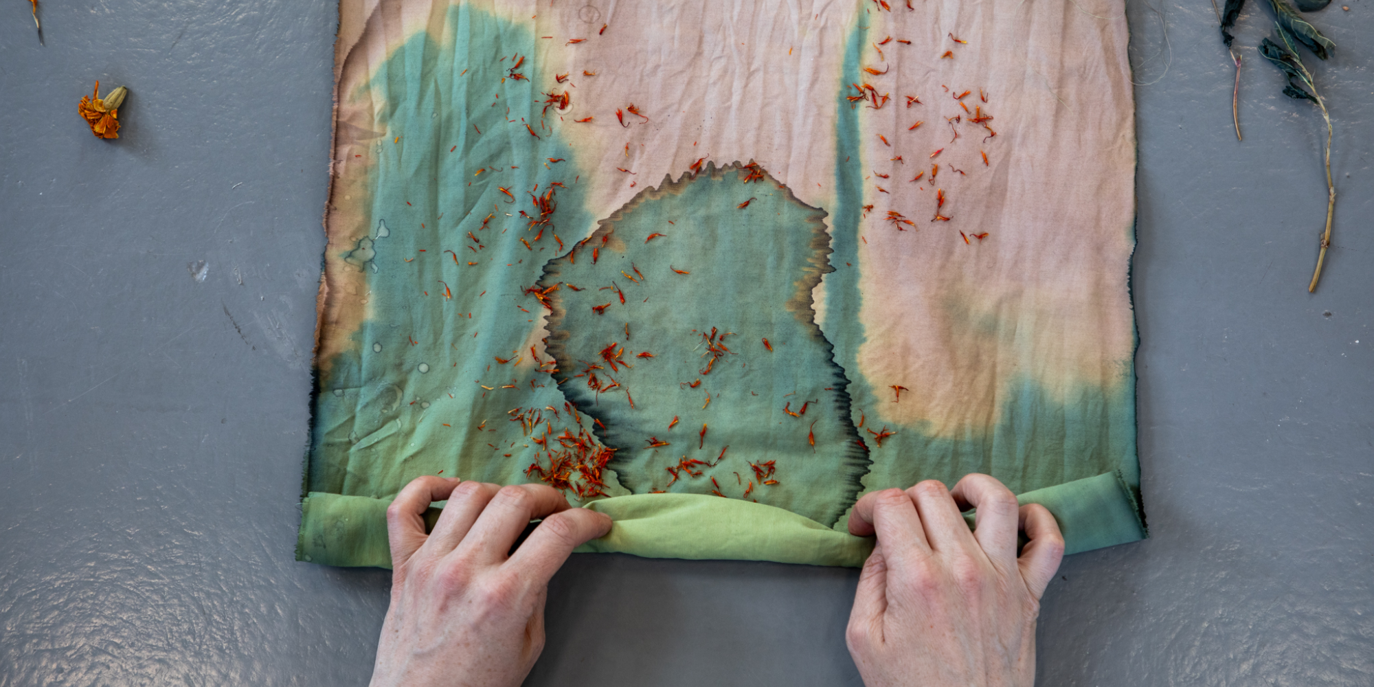  © Annie France Leclerc, <em>membranes</em>, travail d’atelier, 2024.