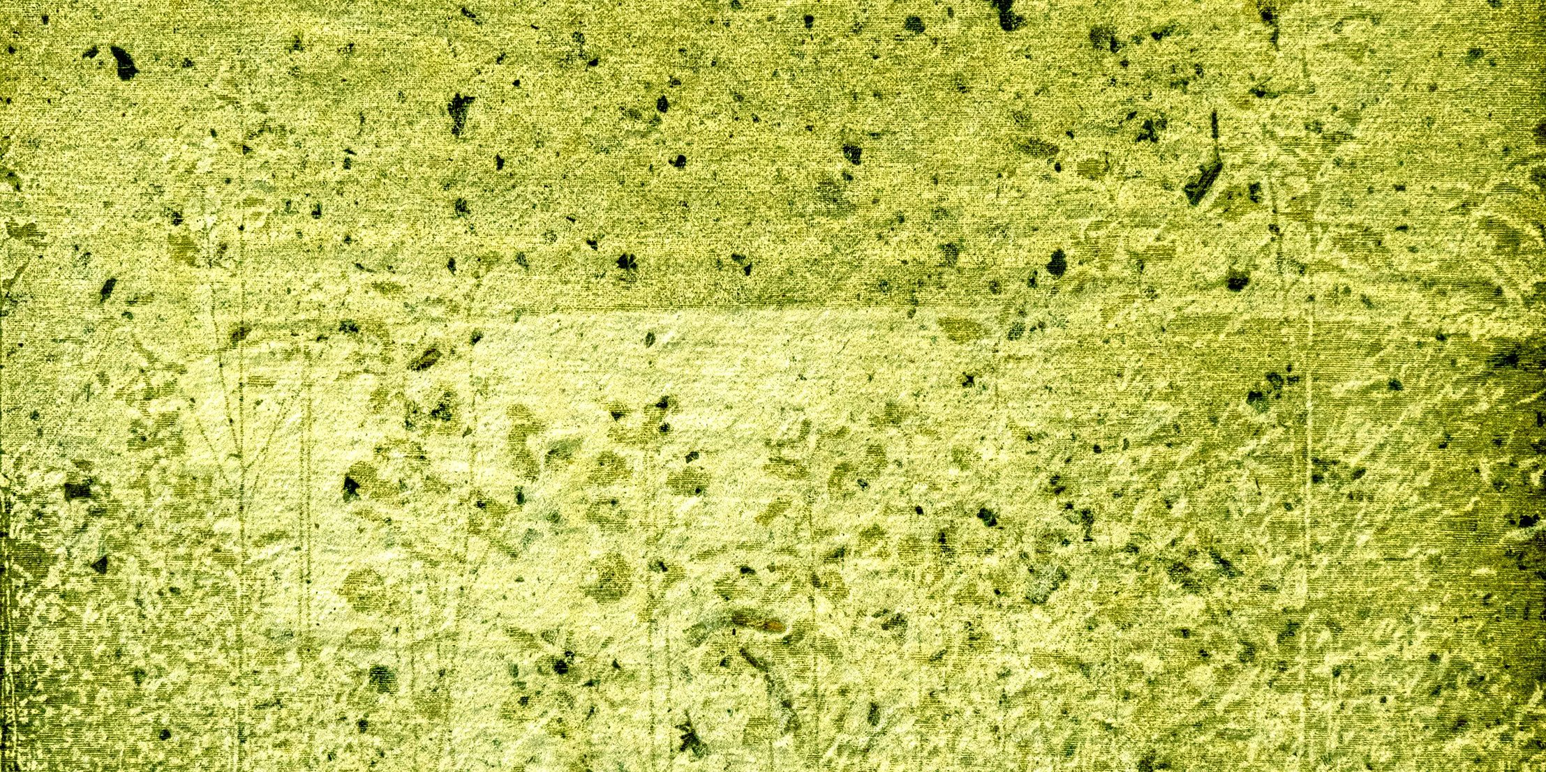 Phytorésiliences 